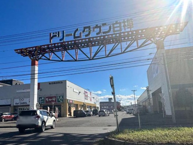 ドリームタウン白樺まで約700m（徒歩9分）　お肉、野菜、果物が新鮮で良いものがたくさんあり、充実しています。100円ショップもあり何でもそろっていて便利です。