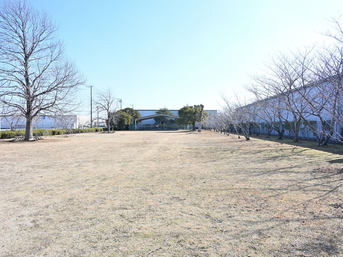 旭緑地公園まで約450m～500m（徒歩6分～7分）　かつて日本の空を飛んでいた本物の航空機が展示されています。春になると公園沿いの桜が桜のトンネルを作ります。