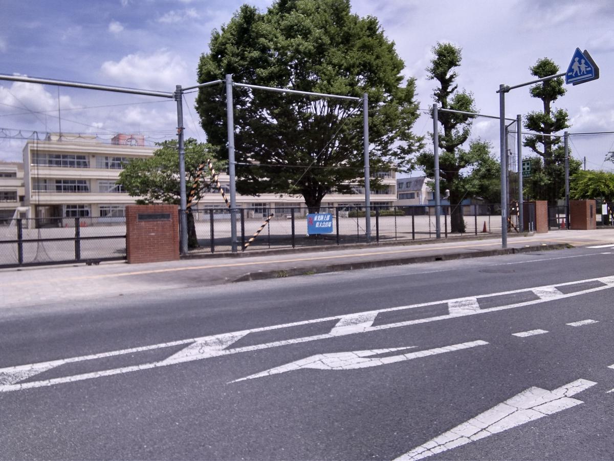 イイコトテラス鹿沼晃望台 土地 鹿沼市立東小学校まで約1.8km　正門前の大銀杏。ランドマークです。全校生徒700名以上。鹿沼市１の大きな学校。