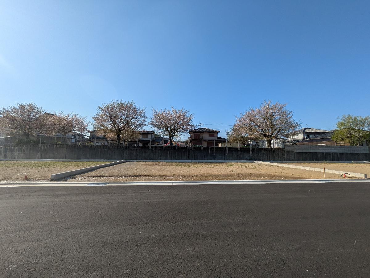 63号地　