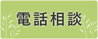 電話問合せ