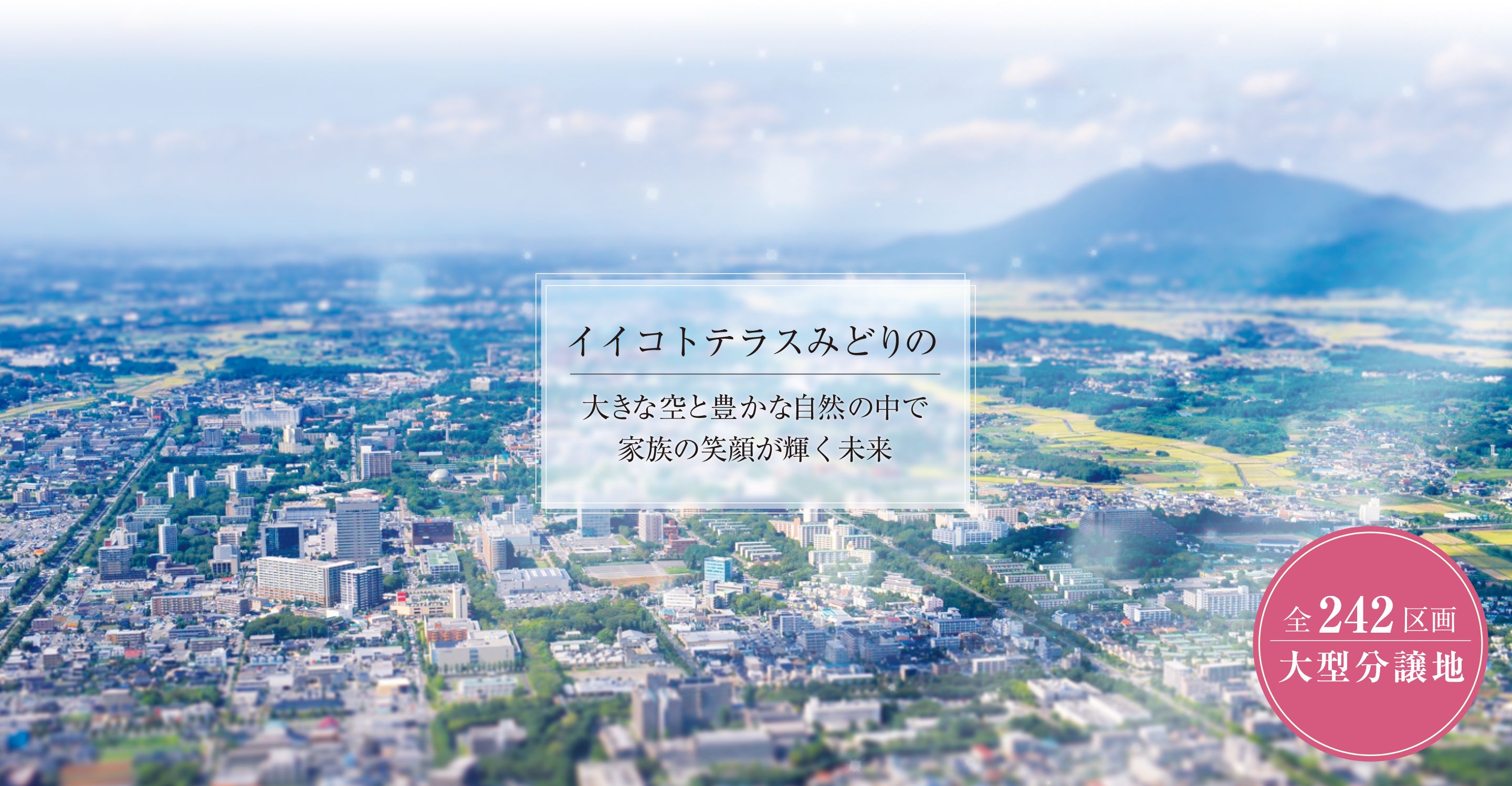 メイン画像