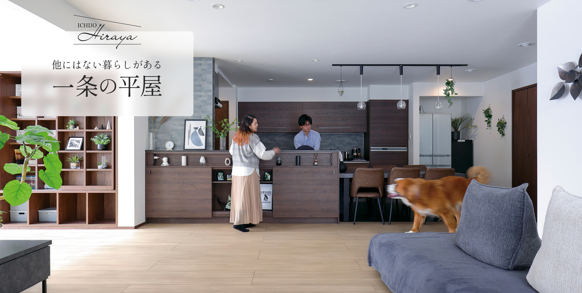 他にはない暮らしがある一条の平屋