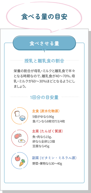 食べる量の目安