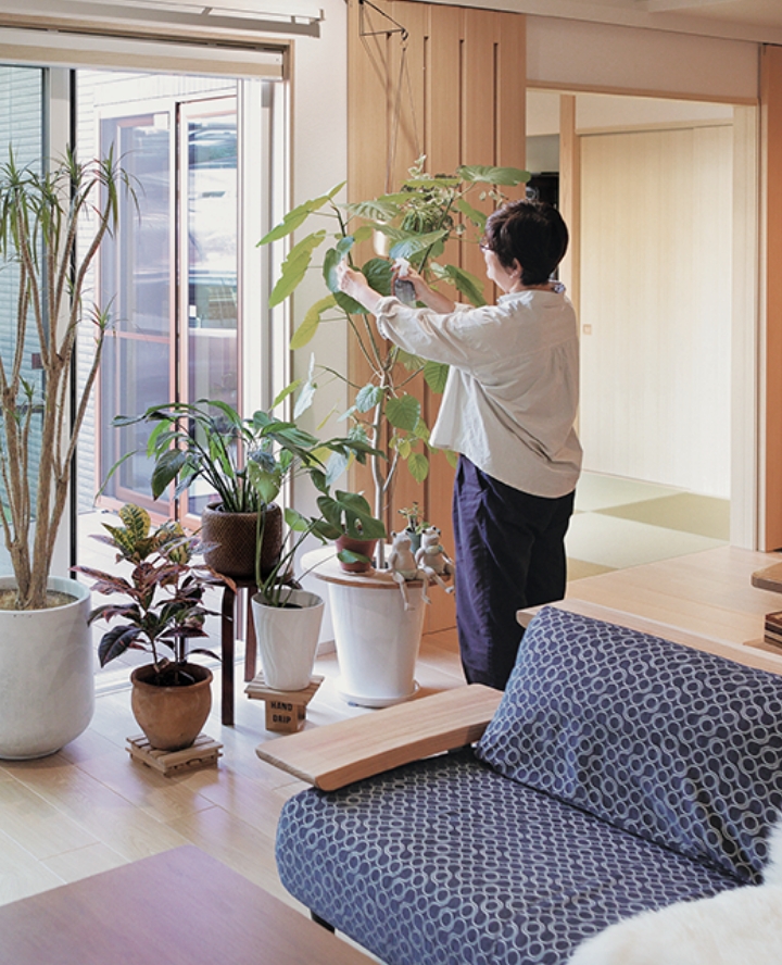 日当たりのよいリビングで観葉植物に水やりをする様子。大きな窓から光が差し込む室内