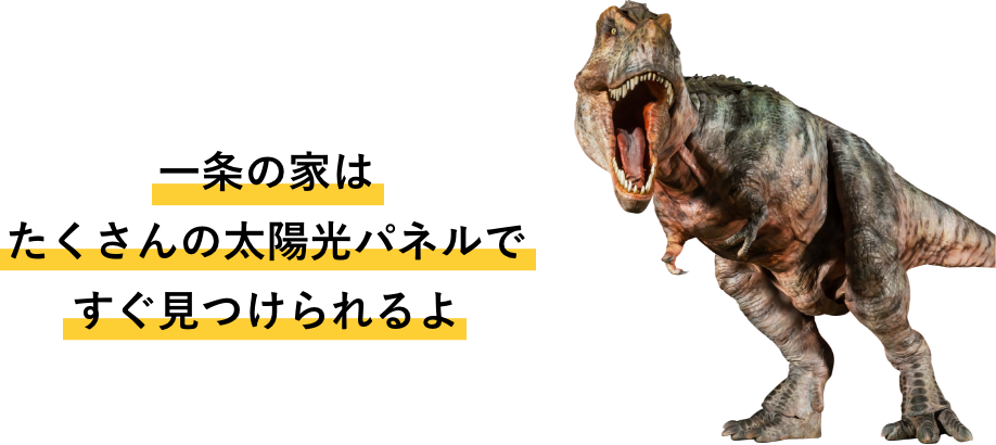 一条の家はたくさんの太陽パネルですぐ見つけられるよ