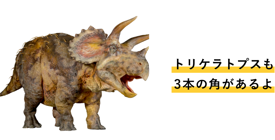 トリケラトプスも３本の角があるよ