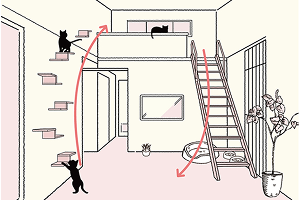 キャットウォーク動線