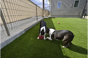 ドッグラン＋ウッドデッキ