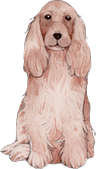 犬