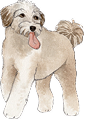 犬