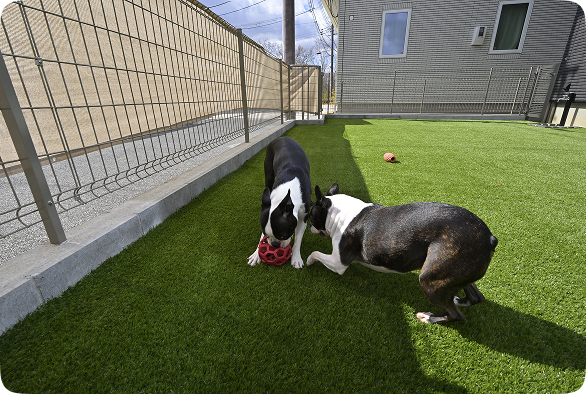 ドッグラン＋ウッドデッキ