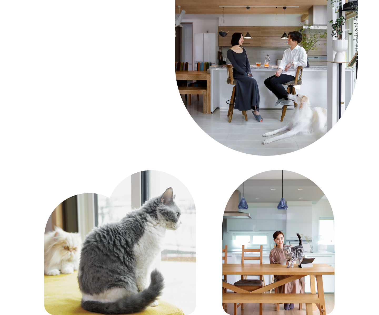 愛犬・愛猫イメージ