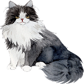 猫イラスト
