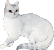 猫イラスト