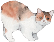 猫イラスト