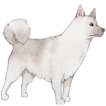 犬イラスト