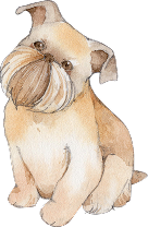 犬