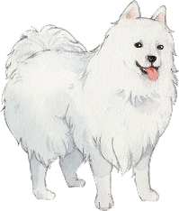 犬