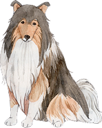犬