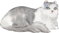 猫イラスト