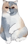 猫イラスト