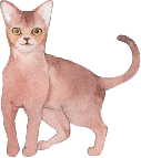 猫イラスト