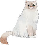猫イラスト