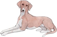 犬イラスト