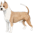 犬イラスト