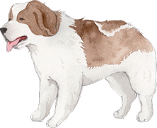 犬