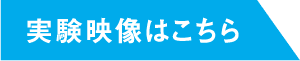 実験映像はこちら