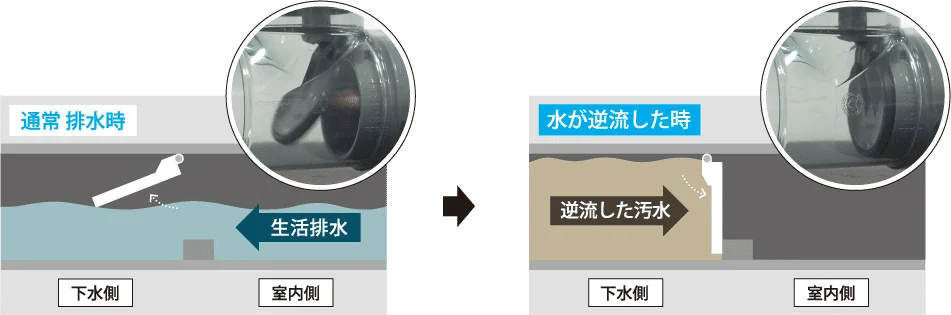 通常排水時と水が逆流した時の「逆流防止弁」