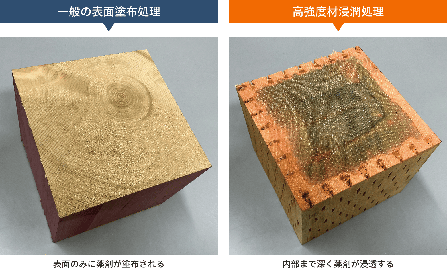木材の表面塗布処理と浸潤処理の比較