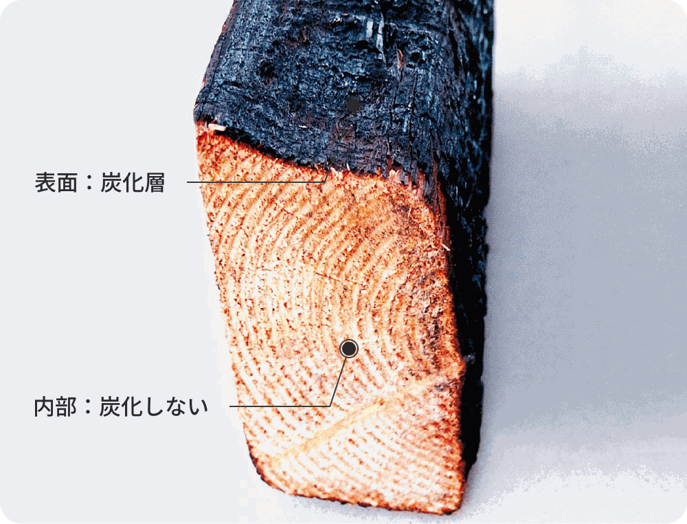 30分間炎にさらした木材の断面