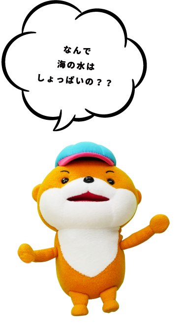 なんで海の水はしょっぱいの？？