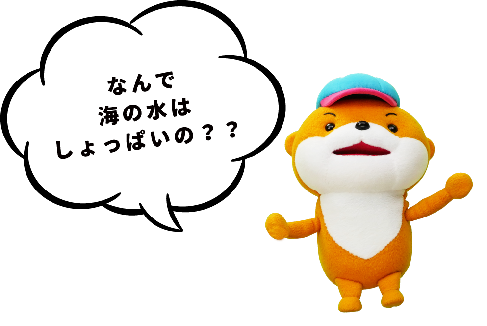 なんで海の水はしょっぱいの？？