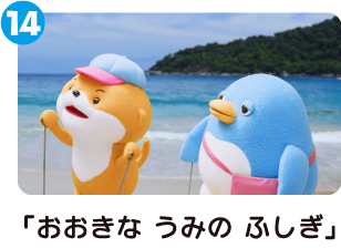 「おおきなうみのふしぎ」