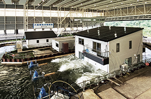 世界最大級の大型降雨施設での実験の様子