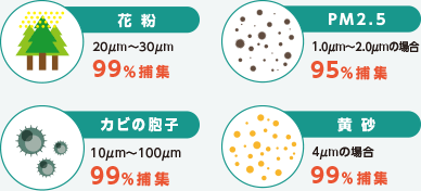 花粉 PM2.5 カビの胞子　黄砂