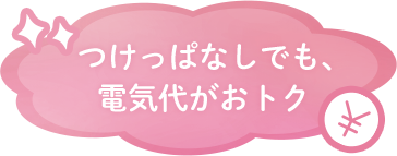 つけっぱなしでも、電気代がおトク