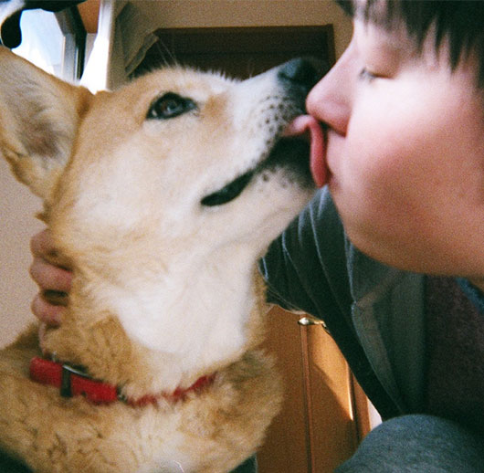 愛犬との暮らし