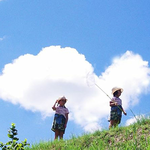 ハート形になっている雲の下で虫取りをしている子どもたちの写真