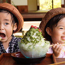 かき氷を食べている子どもの写真