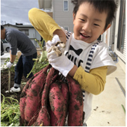 さつまいもを抱えている子どもの写真