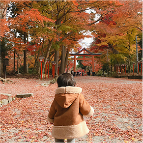 紅葉の道の中神社に向かって歩いている子どもの写真