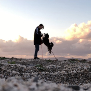 砂浜で犬の散歩をしている人の写真