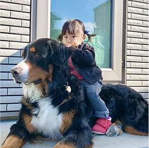 日向ぼっこを楽しむ女の子と犬の写真