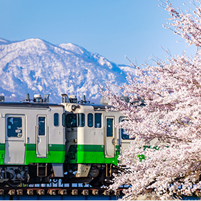 電車と桜の写真