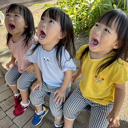 うちのぱひゅーむ様